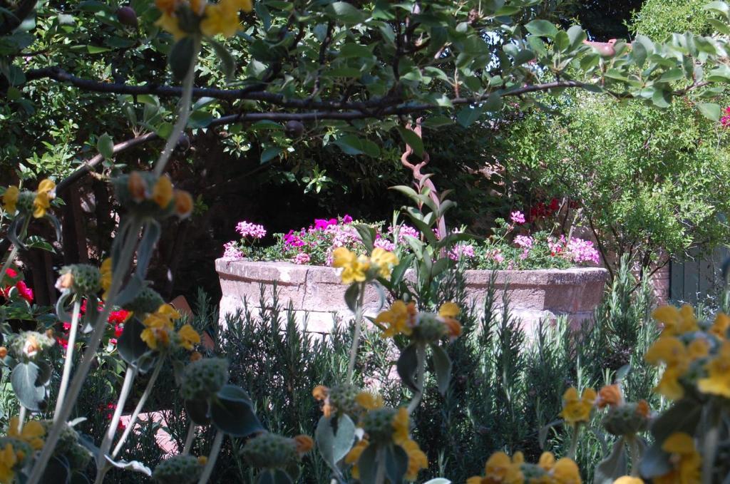 Il Giardino Segreto Hotel Pienza Eksteriør billede